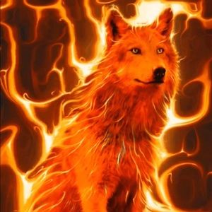 Meet your Posher, Sierra